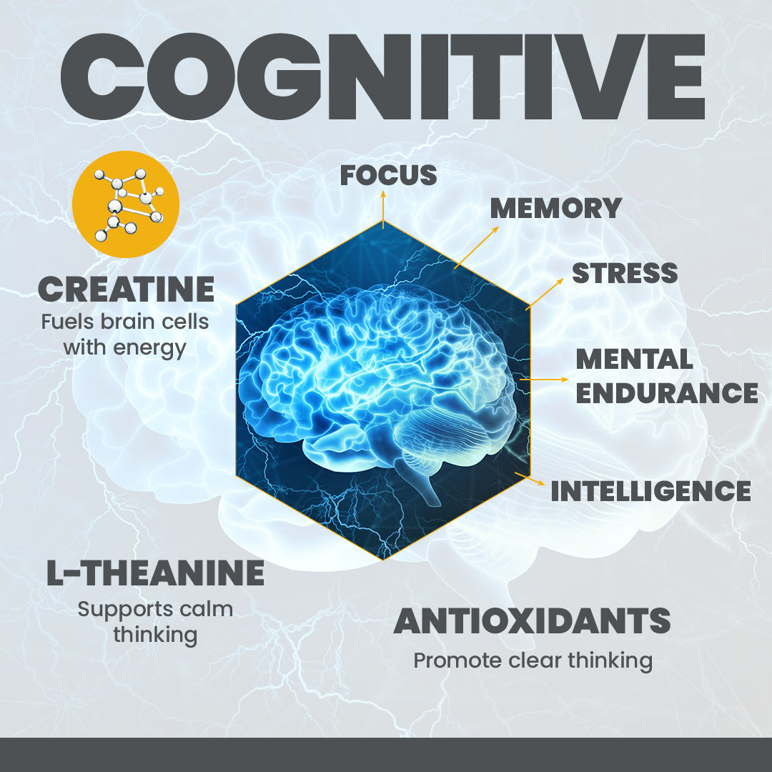 Creatine for Focus
